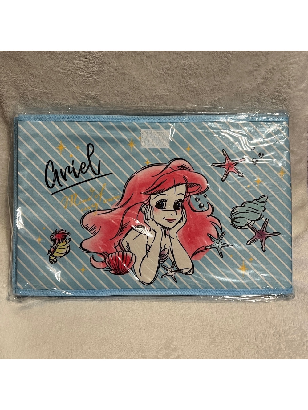 Ariel Foldable Storage Box